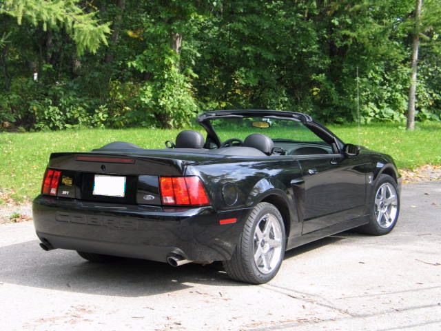 '04 Cobra Rear